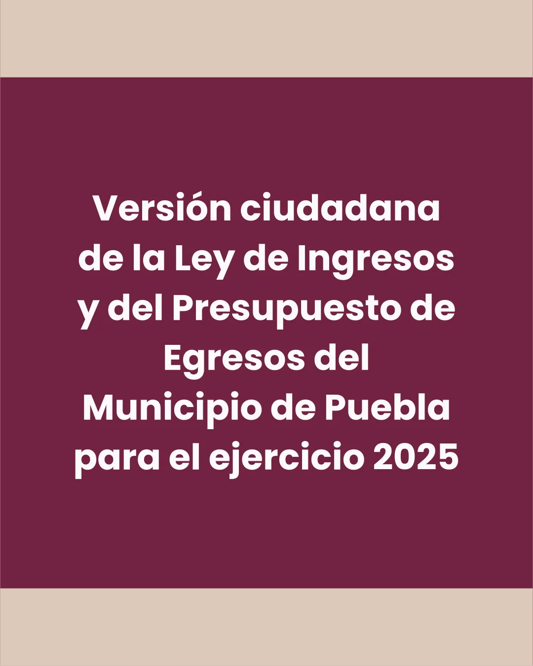 Versión ciudadana de la Ley de Ingresos